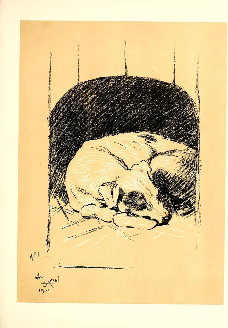 And So to Bed, Cecil Aldin