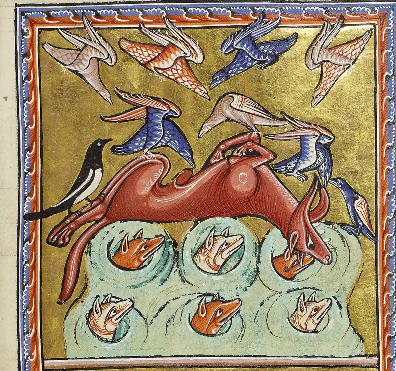 The Fox Who Feigned Death, Unknown English illuminator
