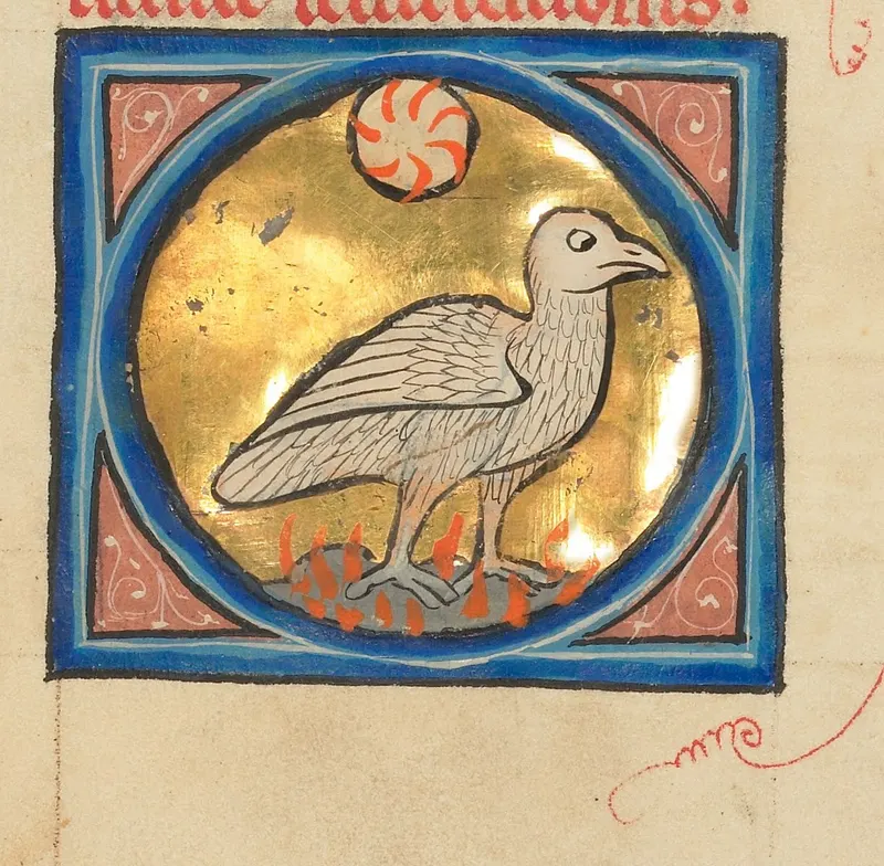 The Phoenix, Unknown Franco-Flemish illuminator