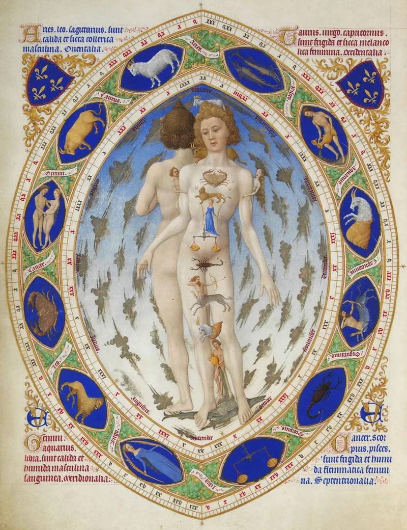 The Anatomical Man, The Limbourg Brothers (Herman, Paul & Jean de Limbourg); later folios completed by Jean Colombe