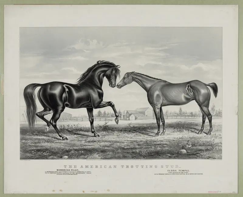 American Trotting Stud - Mambino Pilot, Flora Temple, Currier & Ives, hand-coloured lithograph