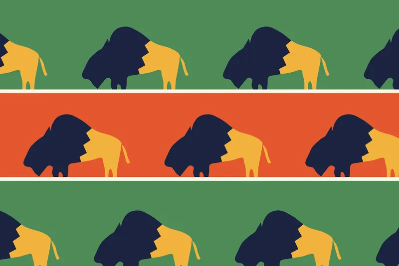 Bison in Bands, Painted Agency