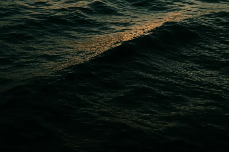 Deep Water Texture, Counting House
