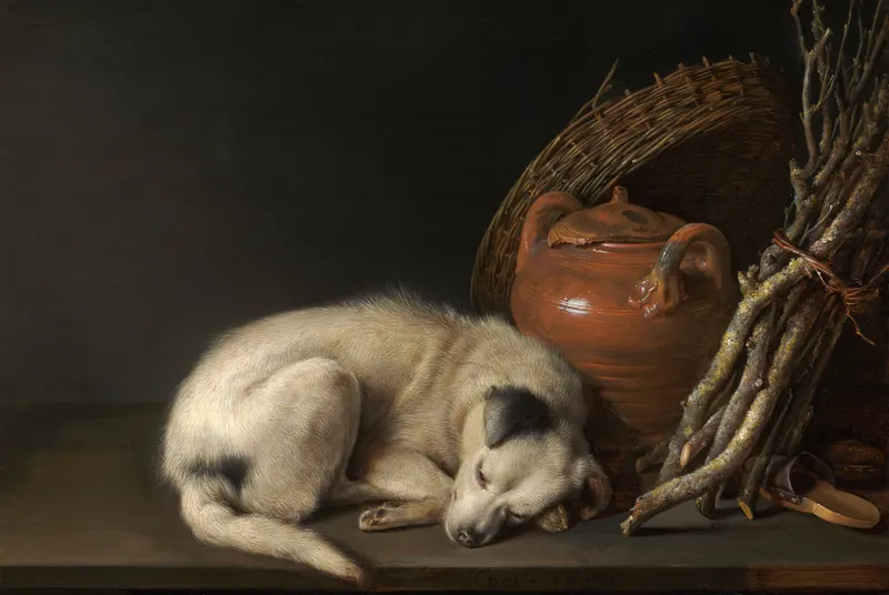 Sleeping Dog, Gerrit Dou