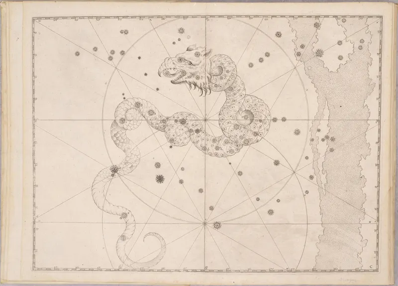 Draco, the Dragon, after Bayer / Hevelius / Flamsteed