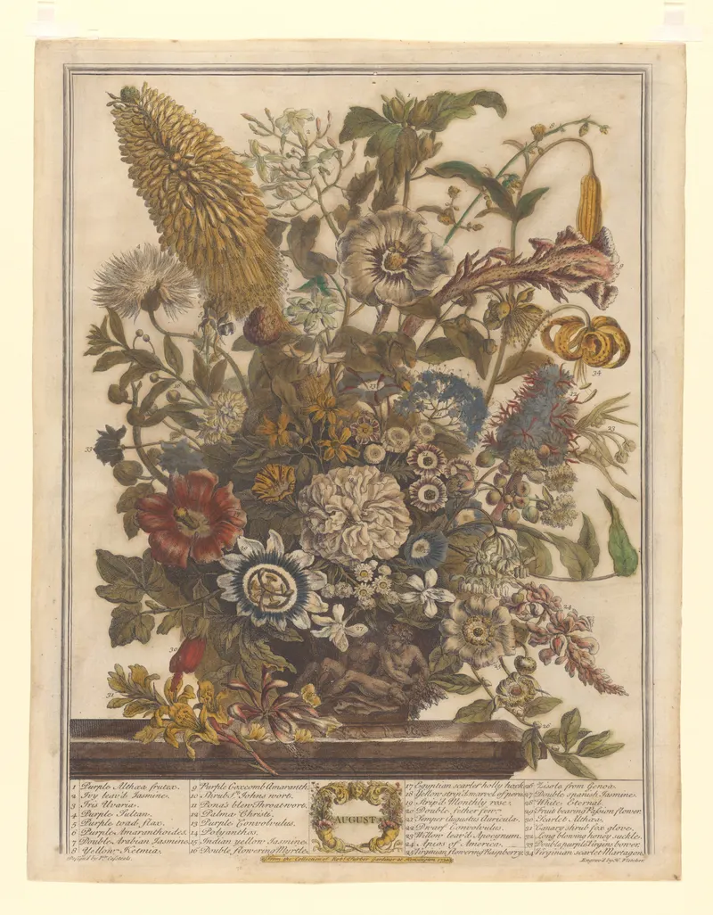 August, Henry Fletcher, after Pieter Casteels III, pub. Robert Furber