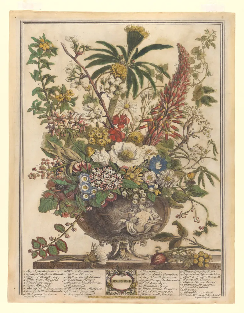 December, Henry Fletcher, after Pieter Casteels III, pub. Robert Furber