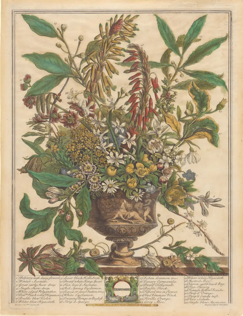 January, Henry Fletcher, after Pieter Casteels III, pub. Robert Furber
