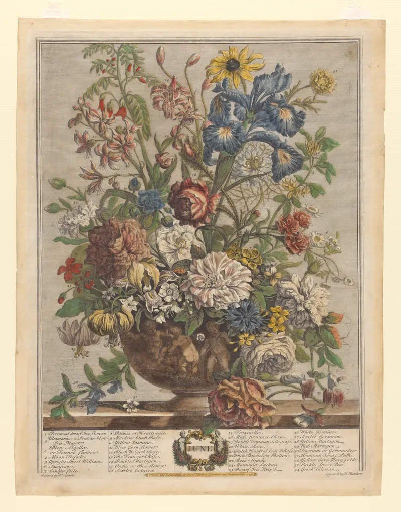 June, Henry Fletcher, after Pieter Casteels III, pub. Robert Furber