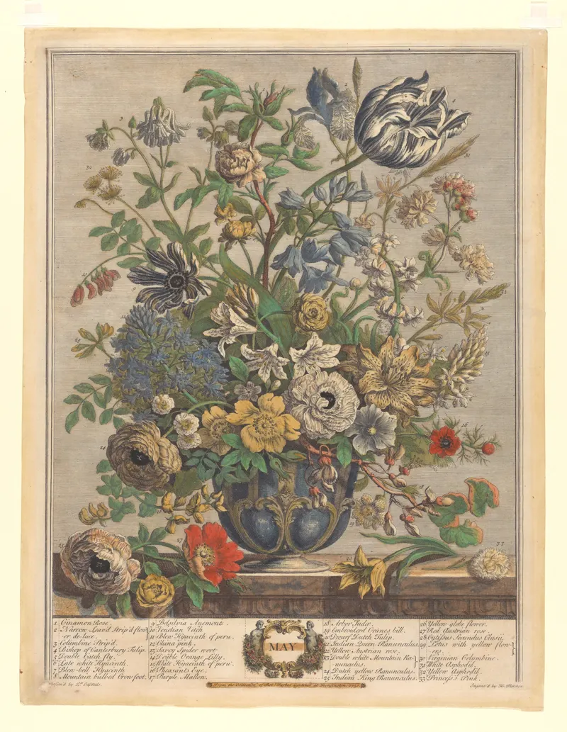 May, Henry Fletcher, after Pieter Casteels III, pub. Robert Furber