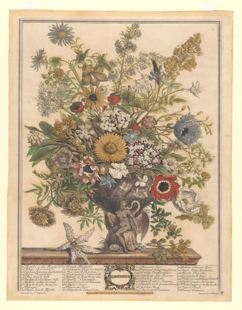 November, Henry Fletcher, after Pieter Casteels III, pub. Robert Furber