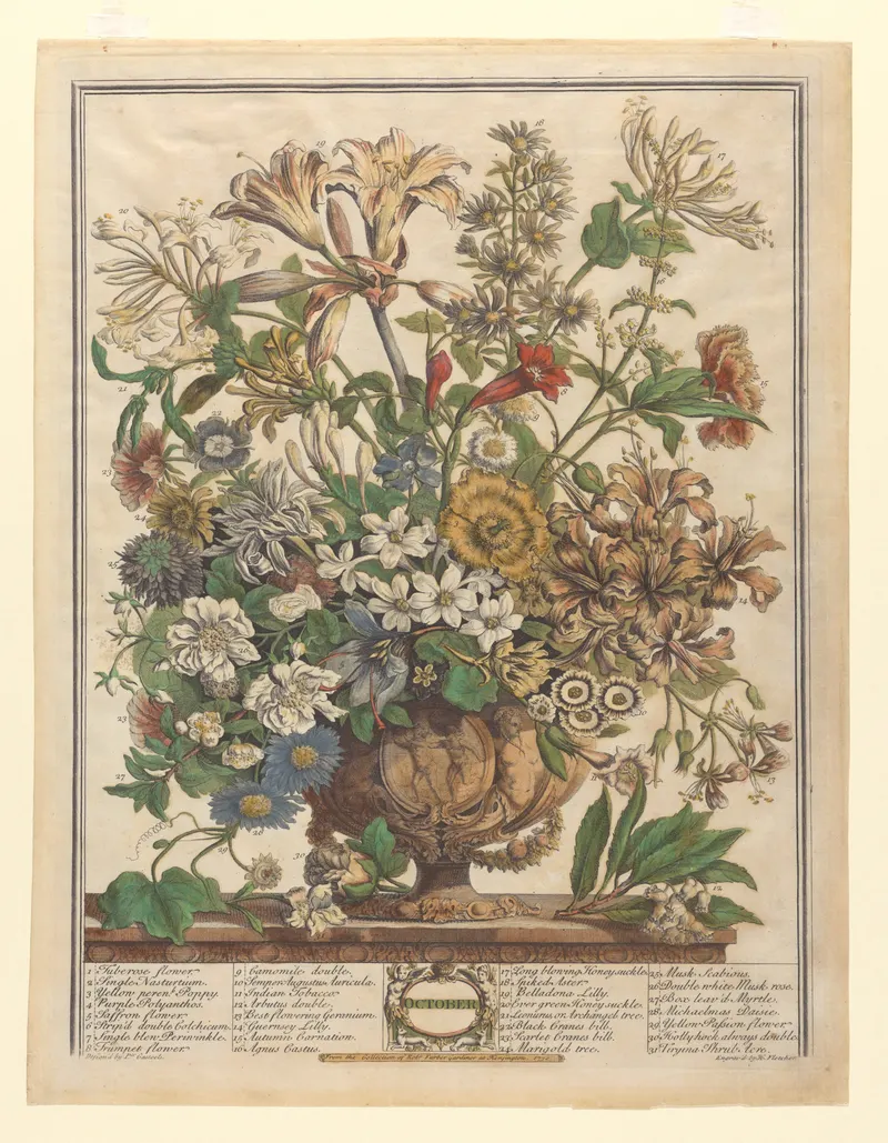 October, Henry Fletcher, after Pieter Casteels III, pub. Robert Furber