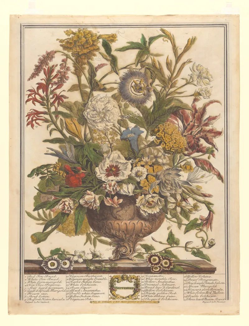 September, Henry Fletcher, after Pieter Casteels III, pub. Robert Furber