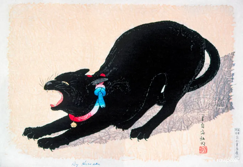 Black Cat Hissing, Takahashi Shōtei
