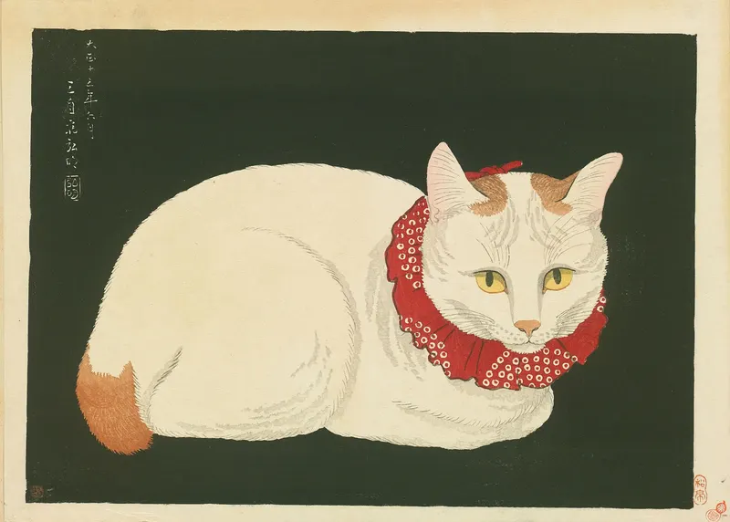 White Cat, Takahashi Shōtei