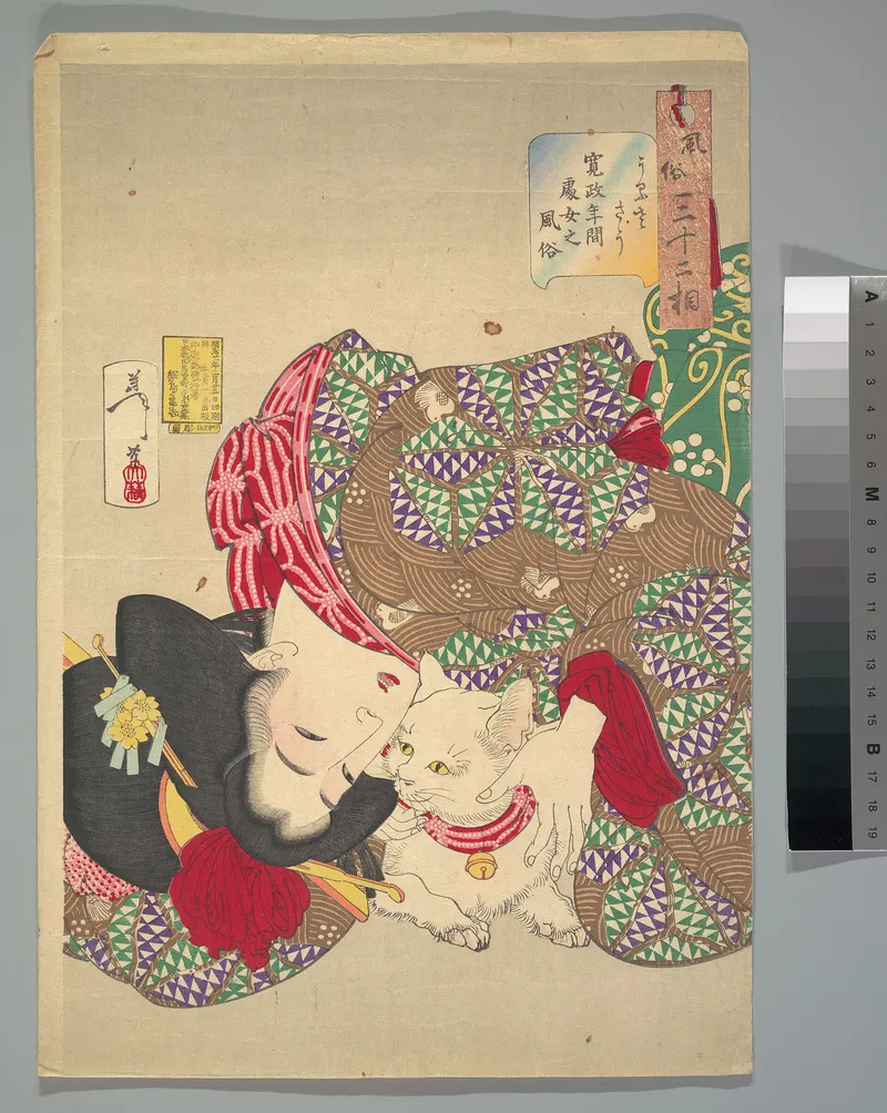 Looks Annoying, Tsukioka Yoshitoshi