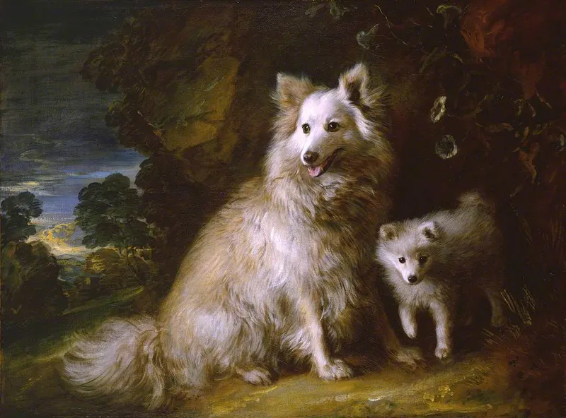 Pomeranian Bitch and Puppy, Thomas Gainsborough