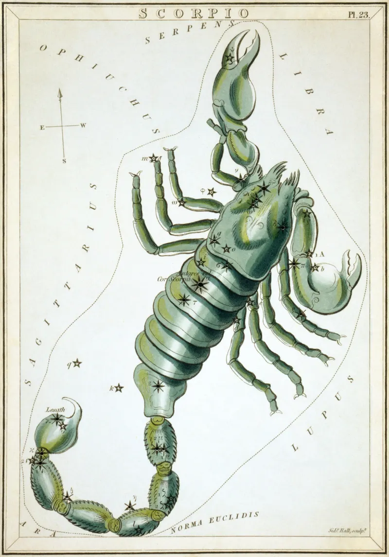 Scorpio, Sidney Hall