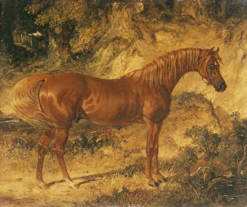 The Racehorse 'Actaeon', John Frederick Herring Sr., oil on canvas