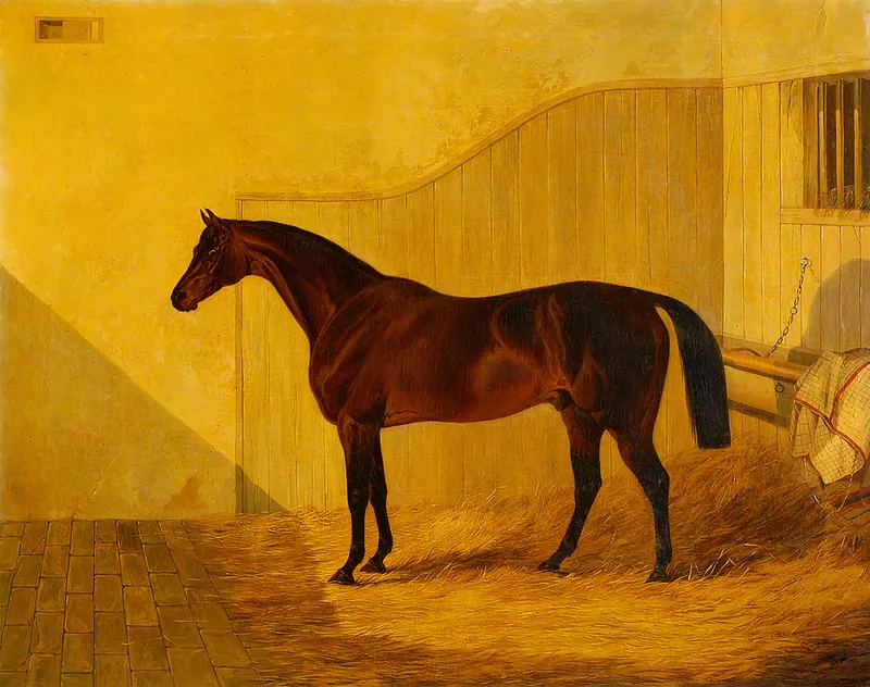 'Amato', John Frederick Herring Sr., oil on canvas