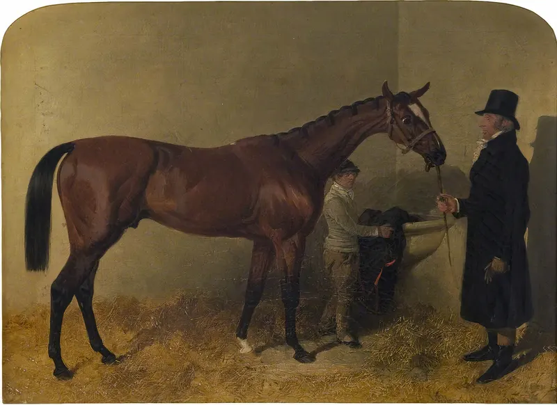 A Bay Racehorse in a Loosebox, John Frederick Herring Sr., oil on canvas