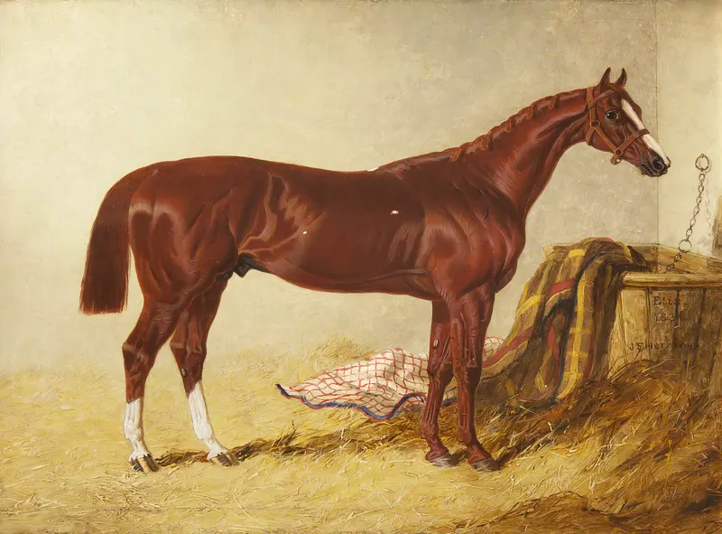 ‘Elis’, Winner of the St Leger, 1836, John Frederick Herring Sr.