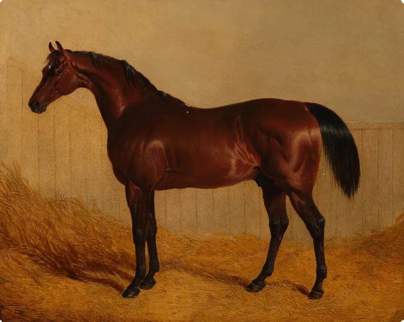 'The Duke of Grafton's Whisker in a Stable', John Frederick Herring Sr., oil on canvas
