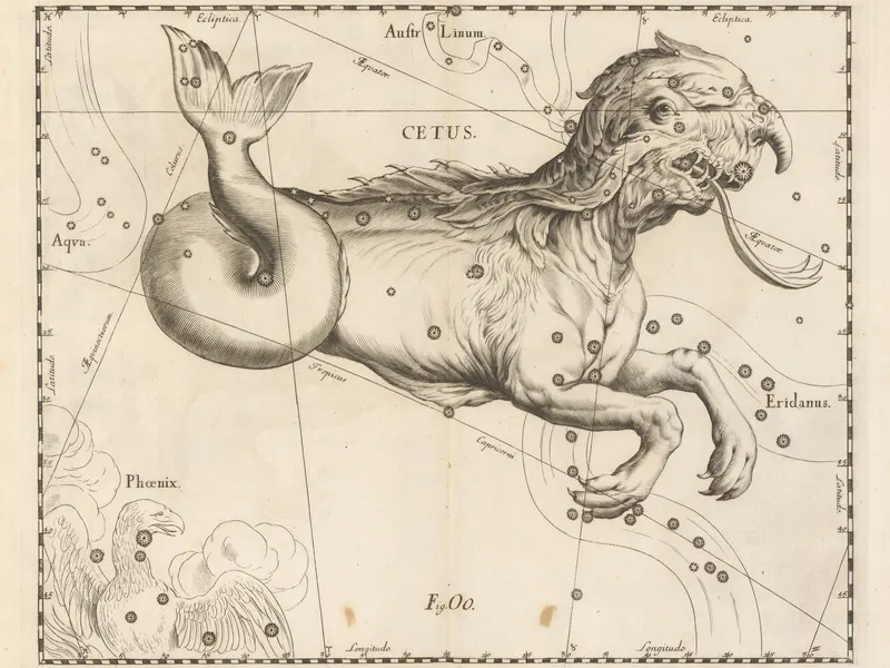 Cetus, the Sea Monster, Johannes Hevelius