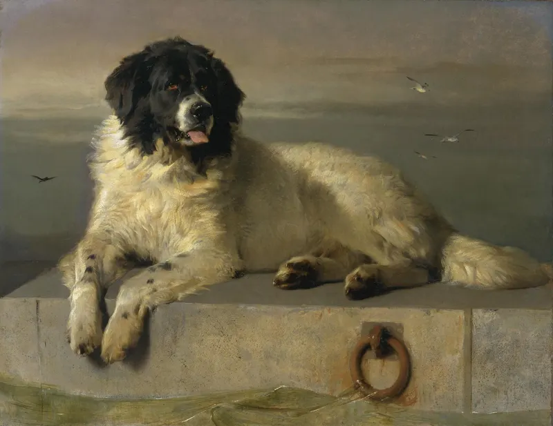 A Distinguished Member of the Humane Society, Edwin Landseer