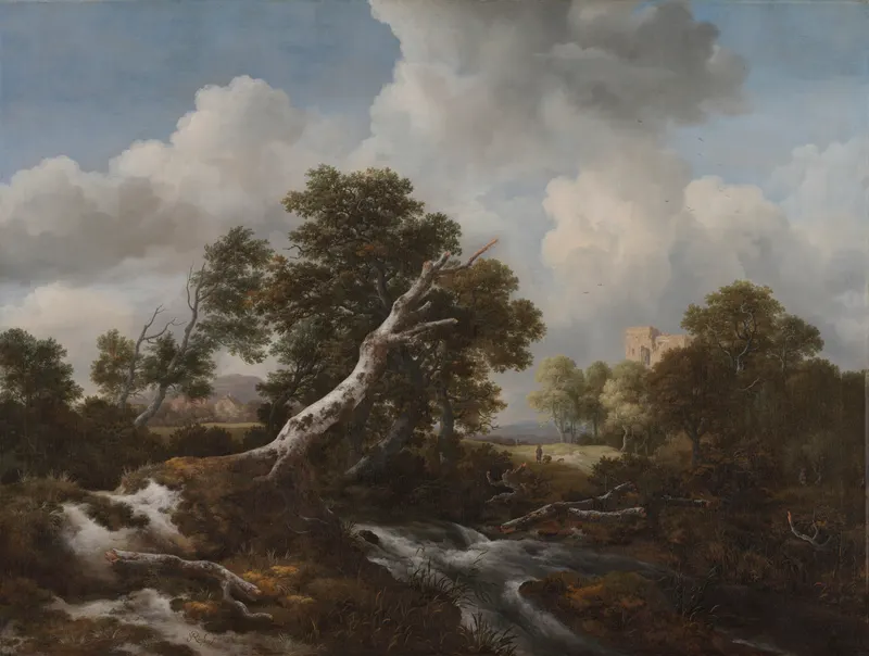 Low Waterfall in a Wooded Landscape with a Dead Beech Tree, Jacob van Ruisdael (1628 to 1682)
