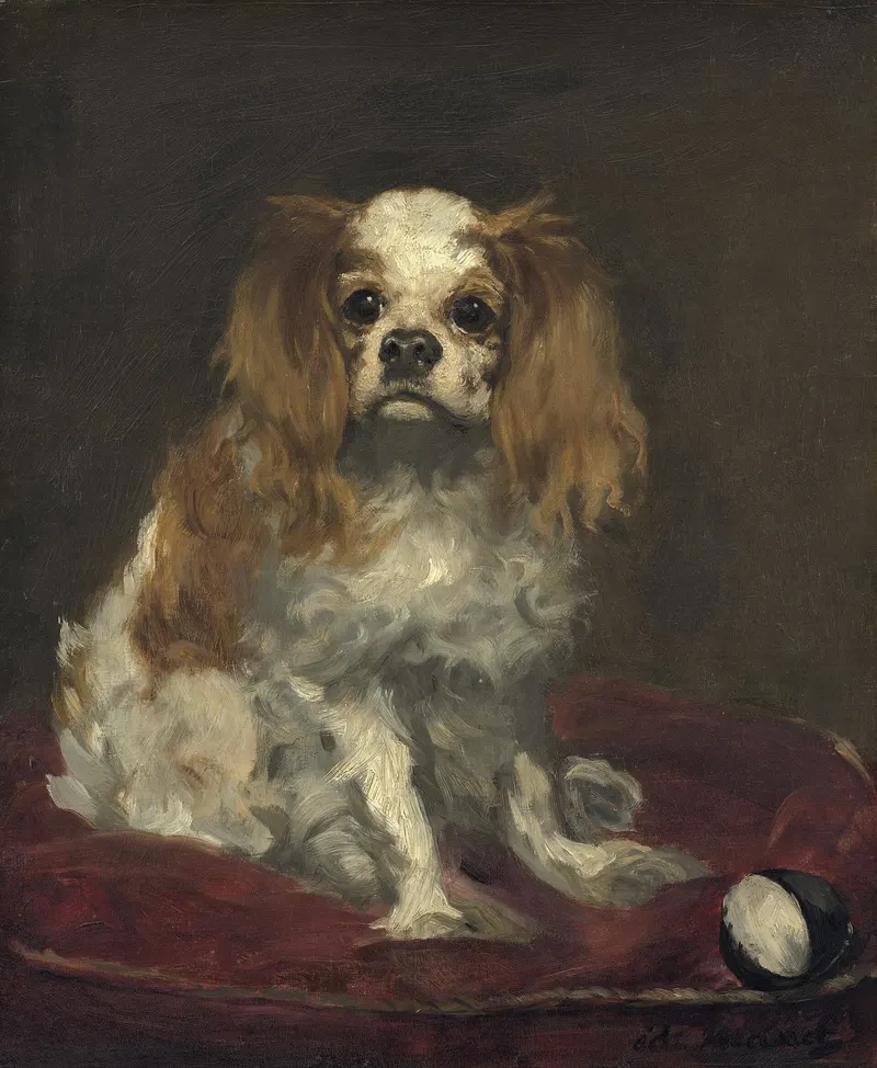 A King Charles Spaniel, Édouard Manet