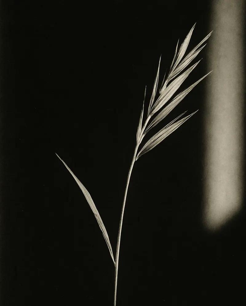Marram Quiet, Counting House