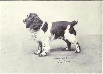 The Cocker Spaniel (Dogs of All Nations), W.E. Mason (pub.)