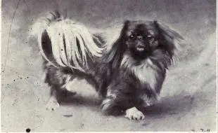 The Pekingese (Dogs of All Nations), W.E. Mason (pub.)