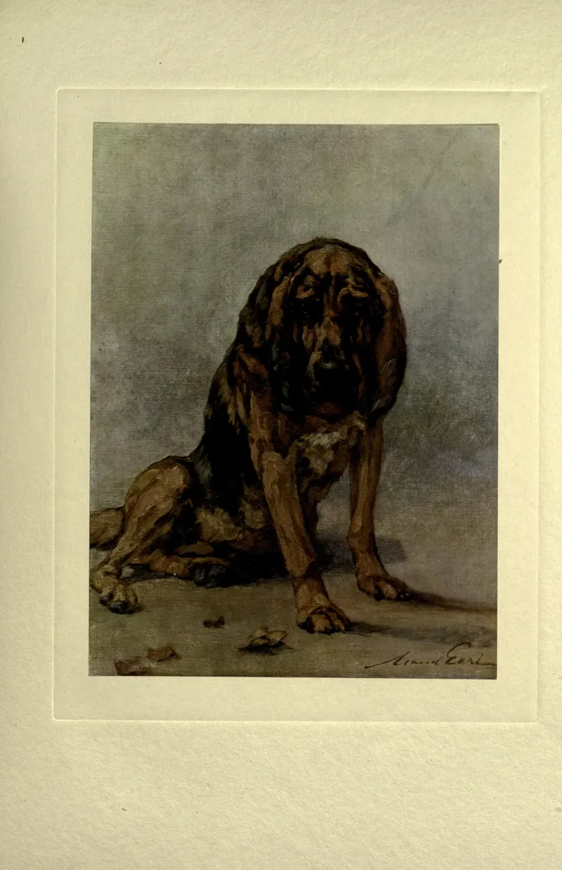 The Bloodhound, from The Power of the Dog, Maud Earl