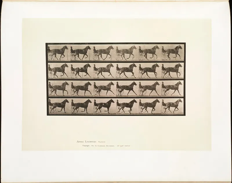 Animal Locomotion, Plate 614, Eadweard Muybridge, collotype