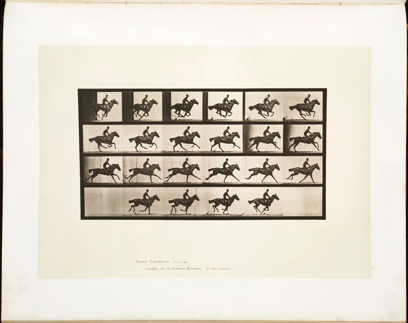 Animal Locomotion, Plate 625, Eadweard Muybridge, collotype