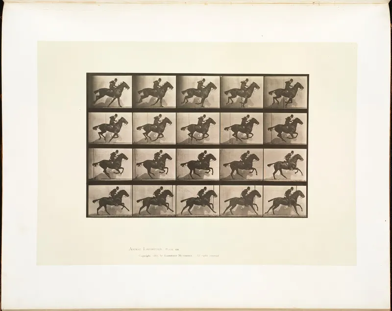 Animal Locomotion, Plate 628, Eadweard Muybridge, collotype