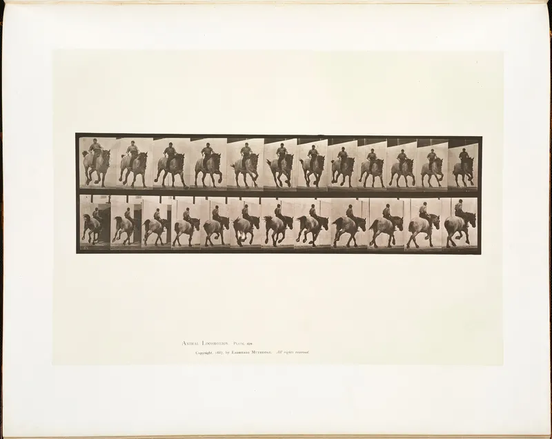 Animal Locomotion, Plate 629, Eadweard Muybridge, collotype