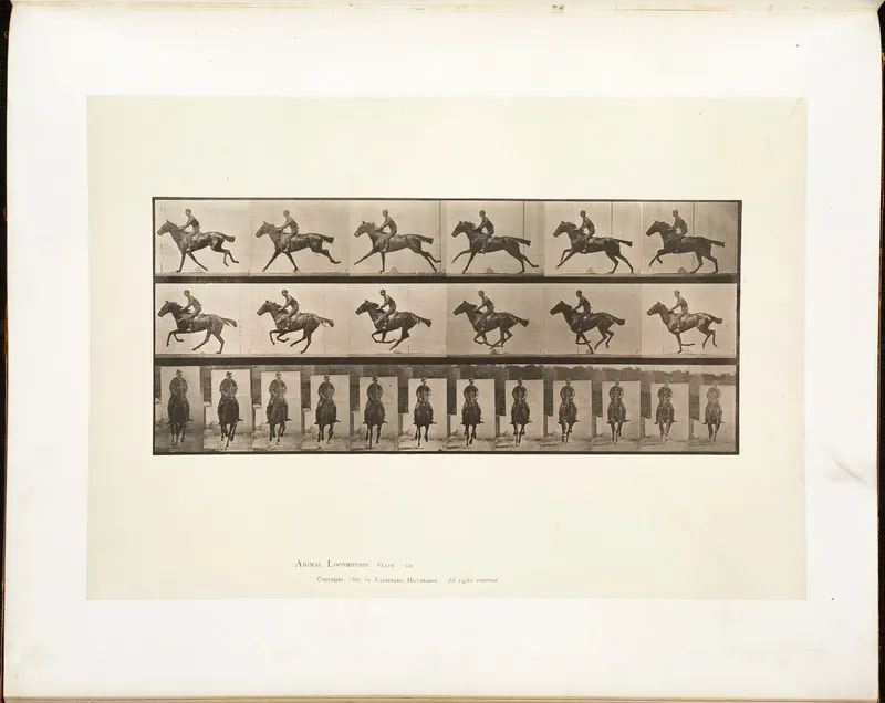 Animal Locomotion, Plate 631, Eadweard Muybridge, collotype