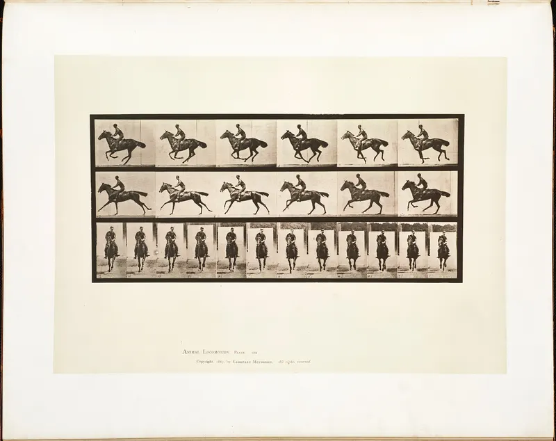 Animal Locomotion, Plate 632, Eadweard Muybridge, collotype