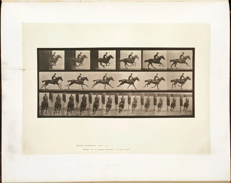 Animal Locomotion, Plate 633, Eadweard Muybridge, collotype