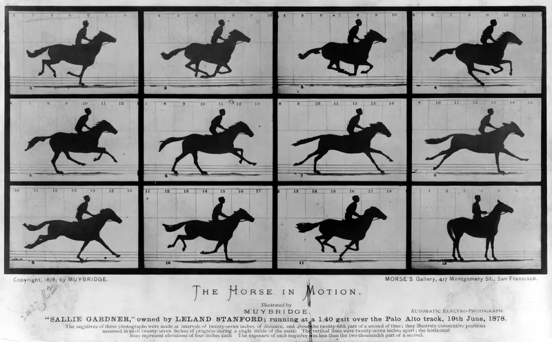 The Horse in Motion — 1878, Eadweard Muybridge