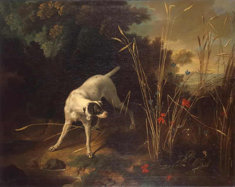 Dog Pointing a Partridge, Jean-Baptiste Oudry