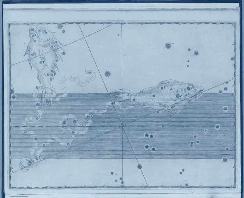 Pisces, the Fishes — Prussian, Johann Bayer