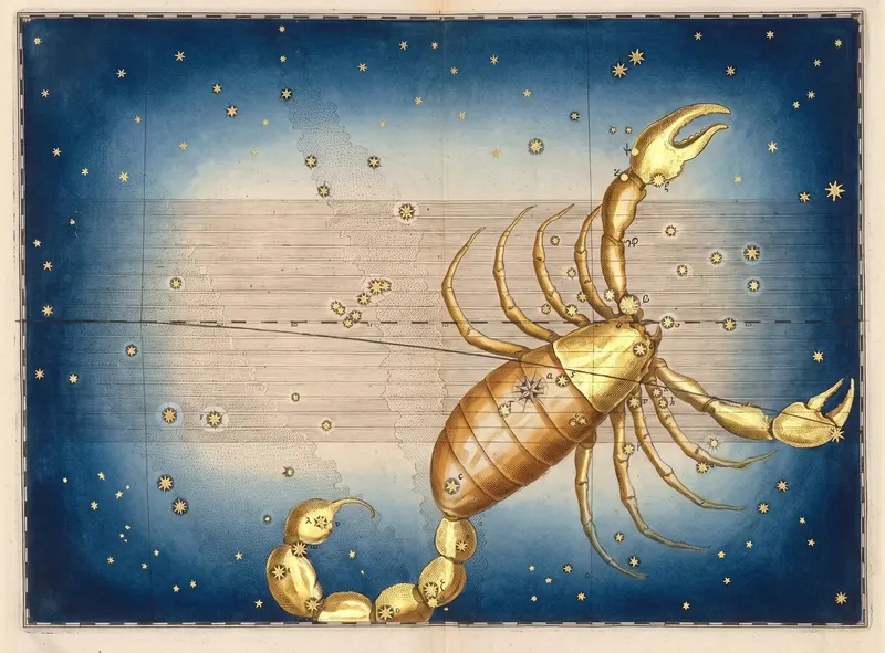 Scorpio, the Scorpion — Illuminated II, Johann Bayer