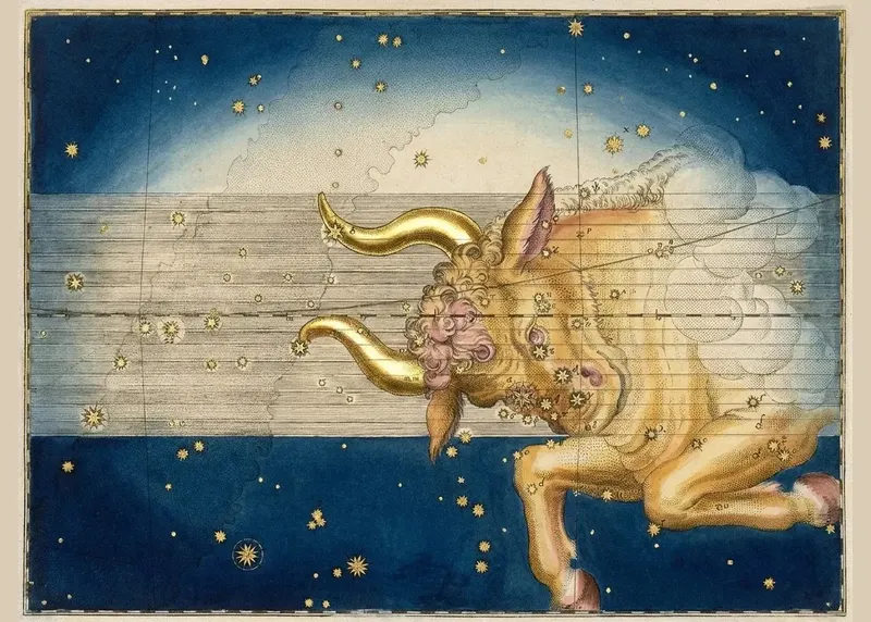 Taurus, the Bull — Illuminated II, Johann Bayer