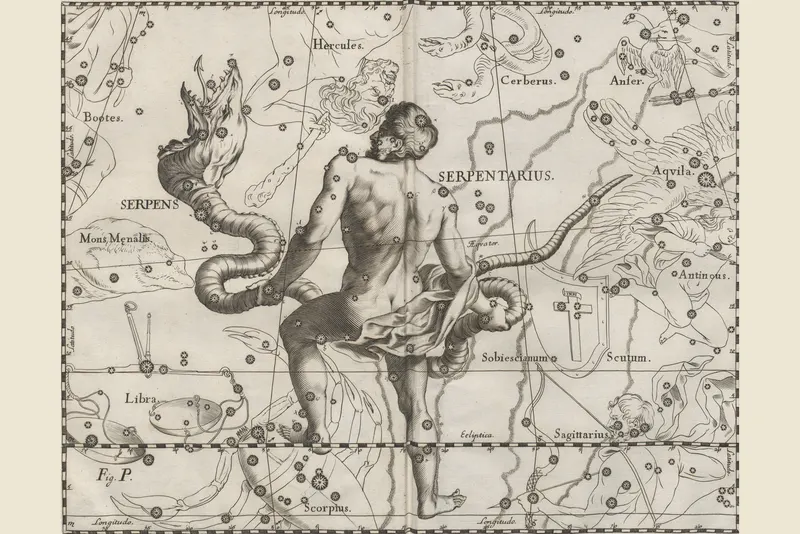 Serpens and Serpentarius, Johannes Hevelius