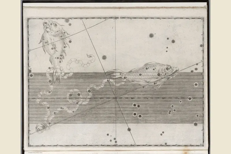 Pisces, the Fishes, Johann Bayer