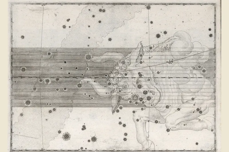 Taurus, the Bull, Johann Bayer